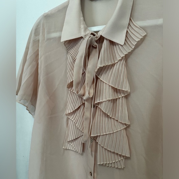 Sheer Pink Zara Blouse - Picture 2 of 7